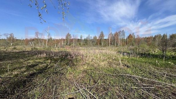 Участок 1108 в ЭКО-Парк Воскресенские берега