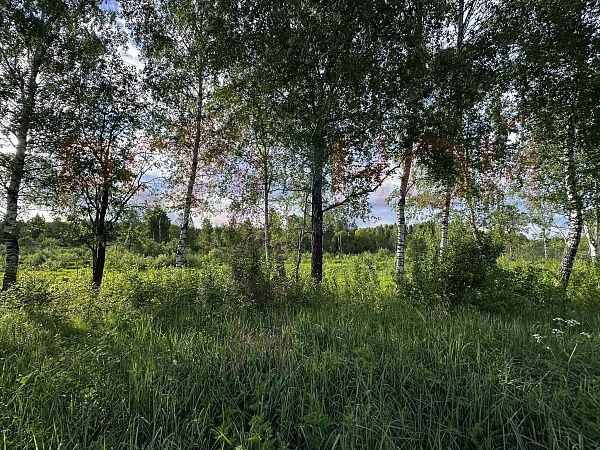 Участок 1108 в ЭКО-Парк Воскресенские берега