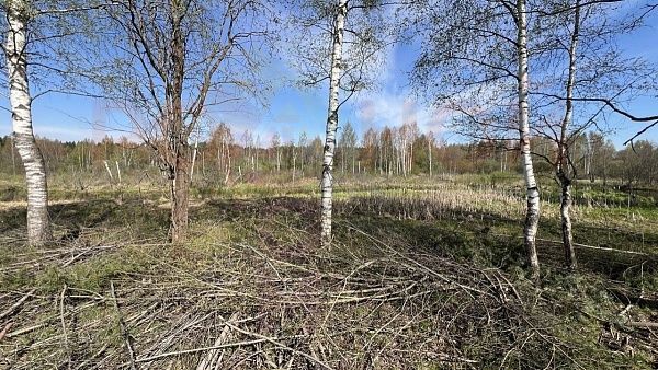 Участок 1108 в ЭКО-Парк Воскресенские берега