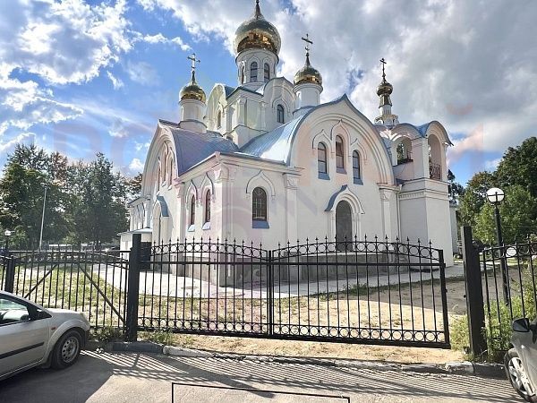 Дом 88 кв в Литвиново Парк. Участок 2580