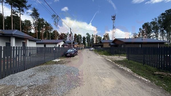 Родное Пушкино