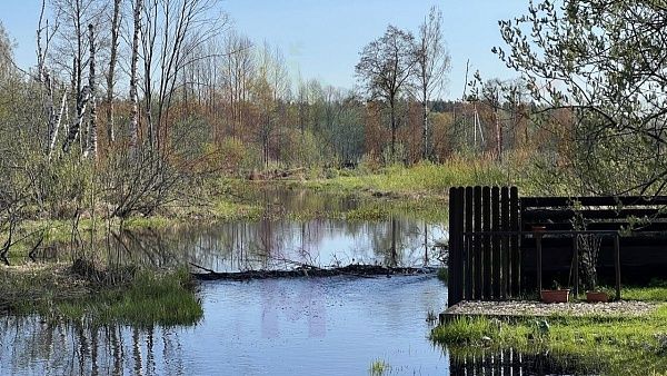 ЭКО-Парк Воскресенские берега ЭКО-Парк Воскресенские берега