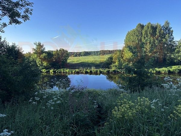 Участок 12 соток в деревне Березовый мостик