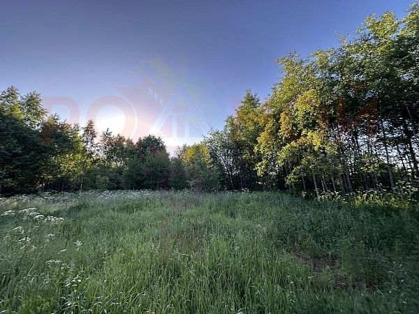 Участок 12 соток в деревне Березовый мостик
