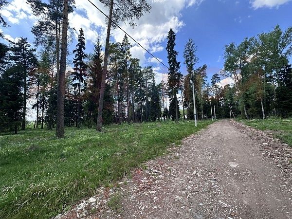 Литвиново Вилладж