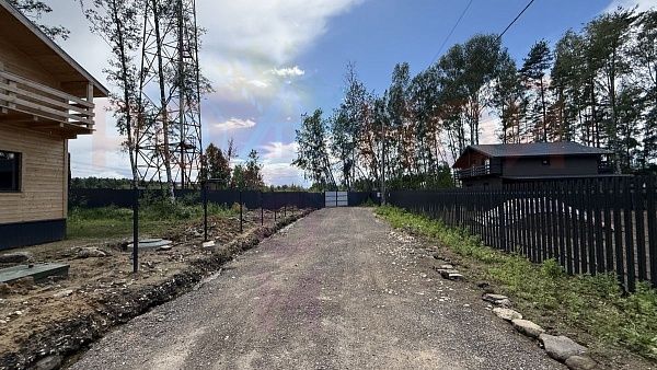 Родное Пушкино
