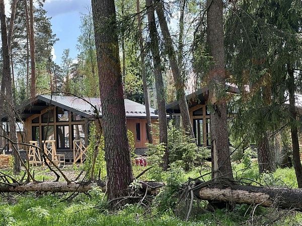 Литвиново Вилладж