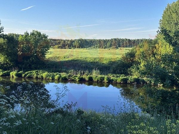 Участок 12 соток в деревне Березовый мостик