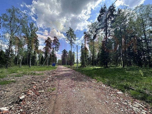 Литвиново Вилладж