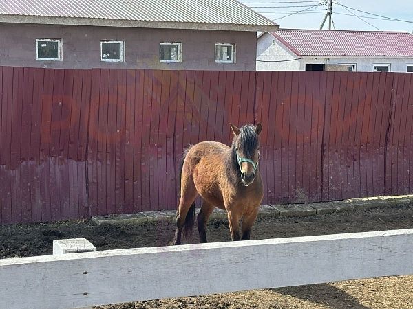 Дом 95 кв в Грин Парк. Участок 1050