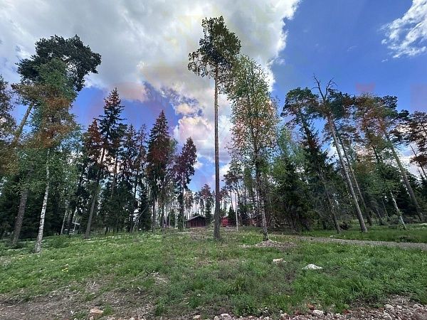 Литвиново Вилладж