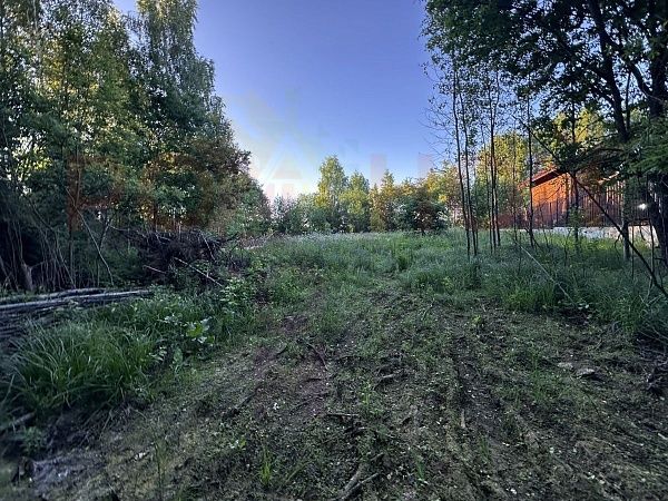 Участок 12 соток в деревне Березовый мостик