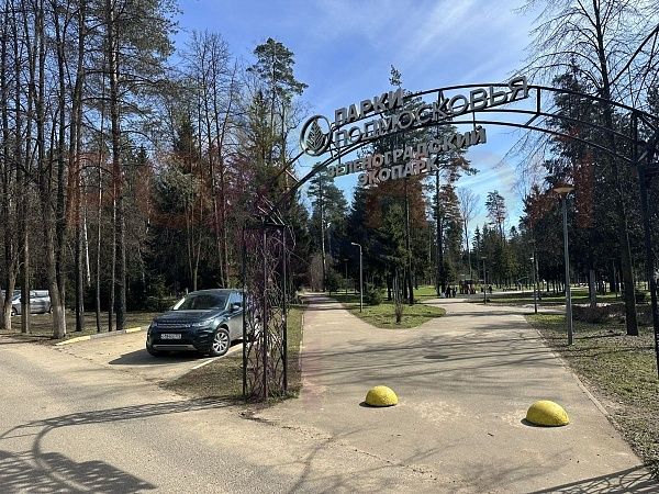 Родной Зеленоградский