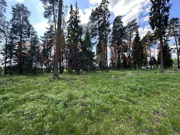 Литвиново Вилладж