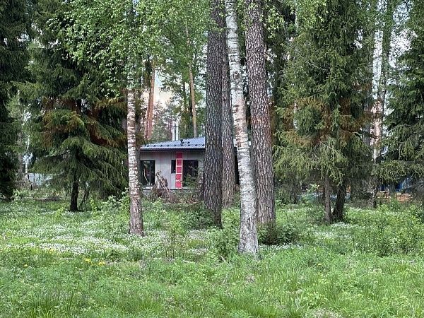 Литвиново Вилладж