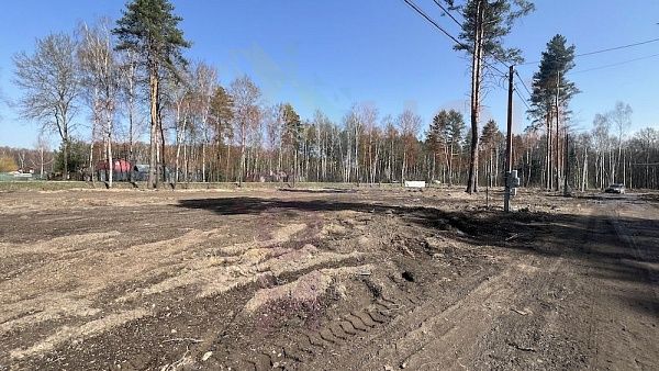 Родное Пушкино