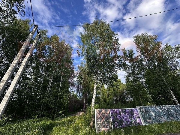 Участок 1109 в ЭКО-Парк Воскресенские берега