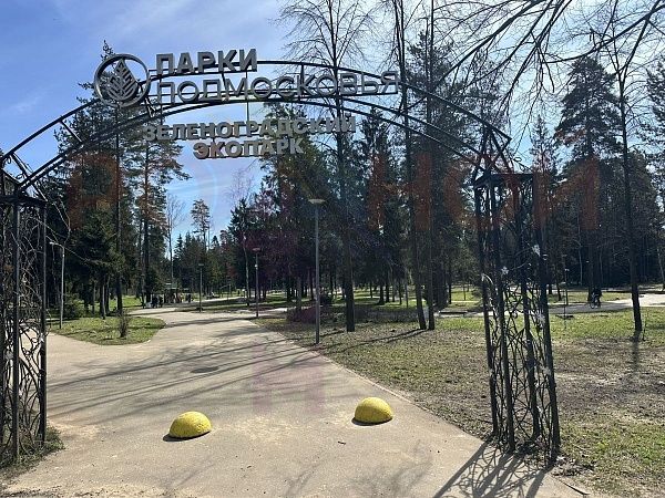 Родной Зеленоградский