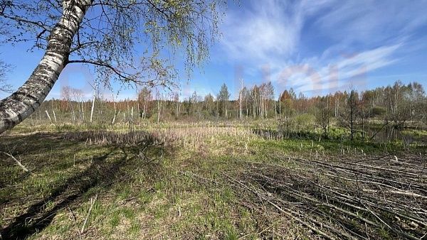 Участок 1108 в ЭКО-Парк Воскресенские берега