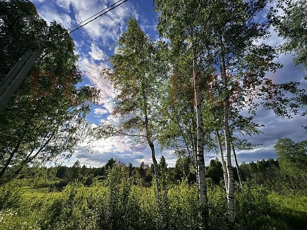 Участок 1109 в ЭКО-Парк Воскресенские берега