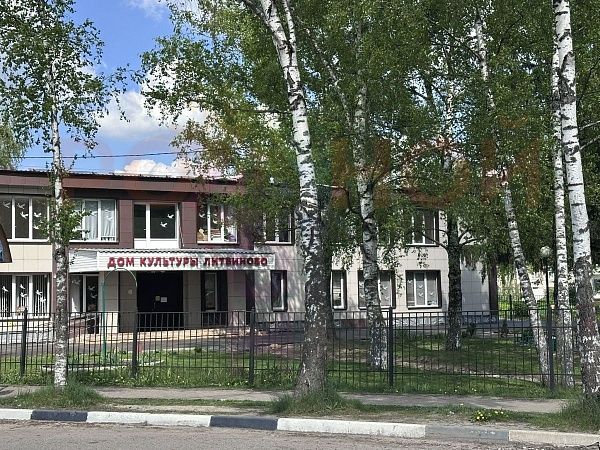 Литвиново Вилладж