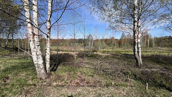 Участок 1109 в ЭКО-Парк Воскресенские берега