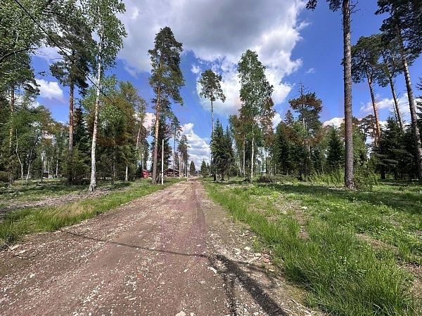 Литвиново Вилладж