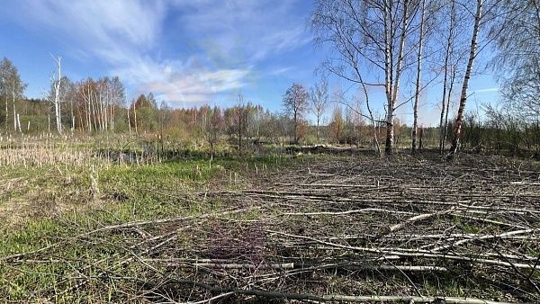 Участок 1108 в ЭКО-Парк Воскресенские берега