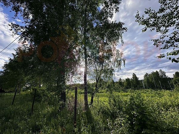 Участок 1108 в ЭКО-Парк Воскресенские берега