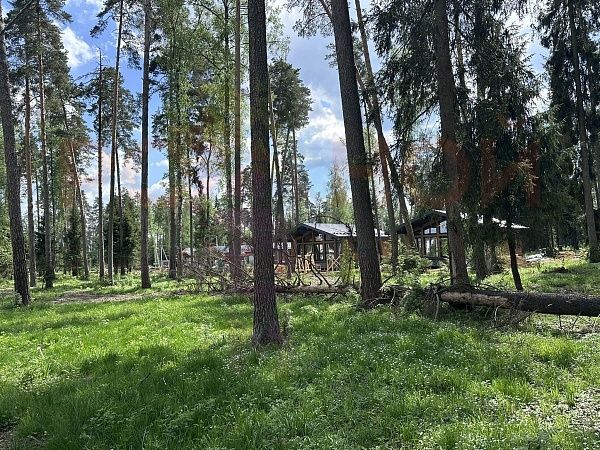 Литвиново Вилладж