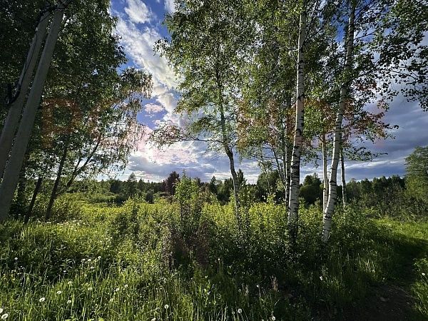 Участок 1109 в ЭКО-Парк Воскресенские берега