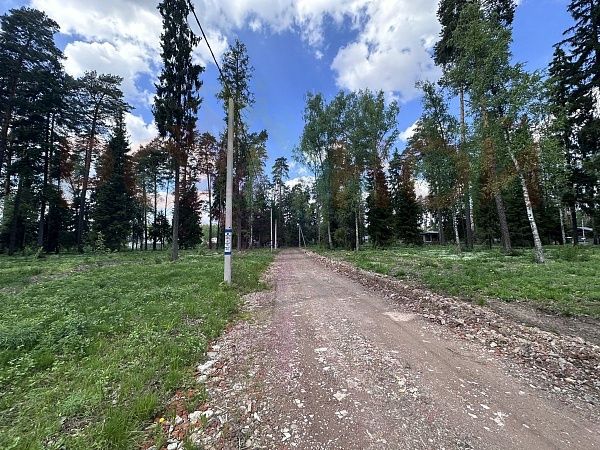 Литвиново Вилладж