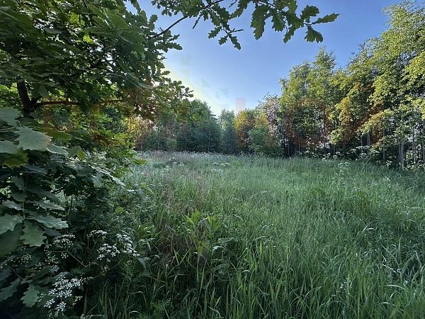 Участок 12 соток в деревне Березовый мостик